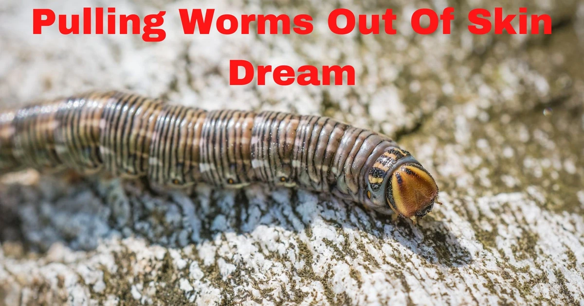 Pulling Worms Out Of Skin Dream - A Sign Of Power, Strength, Loyalty ...